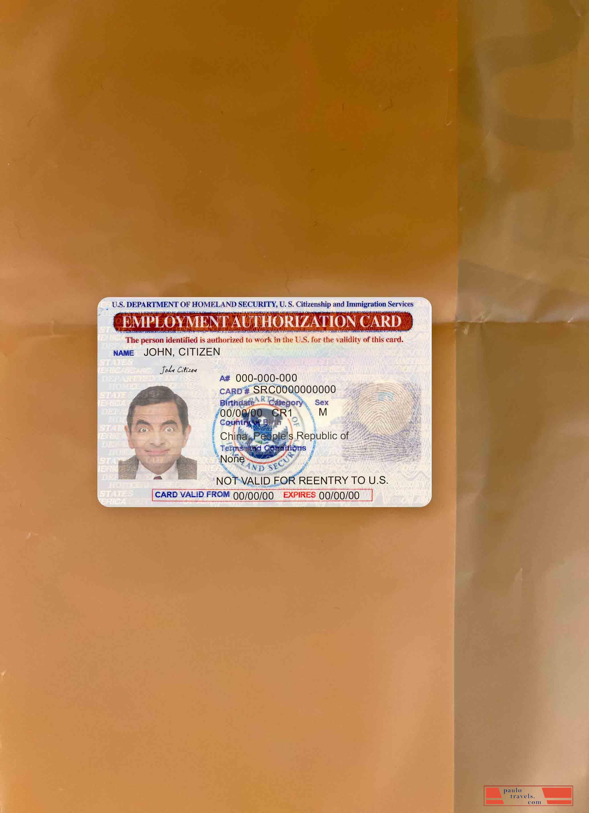 United States employment authorization card photolook FRONT PSD template